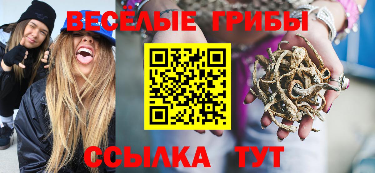 Галлюциногенные грибы прущие грибы Зеленокумск